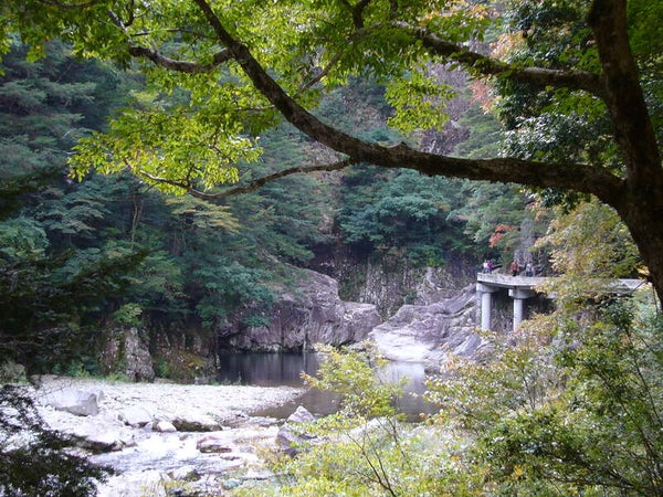 【広島・古市発】 大迫力「温井(ぬくい)ダム放流」と新緑の三段峡 日帰り2